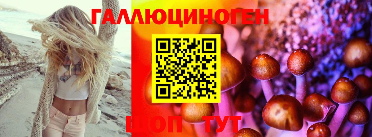 Кизляр  Галлюциногенные грибы Cubensis  Вход с VPN 