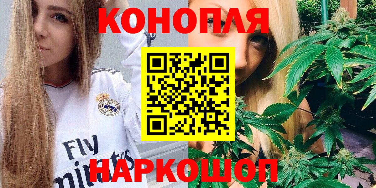 Каннабис планчик Кизляр